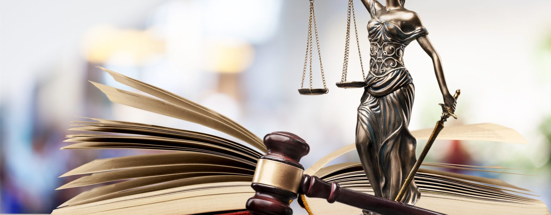 As Next Trump Presidency Looms, Chicago Groups Serving Immigrants Are Bracing For The Unexpected